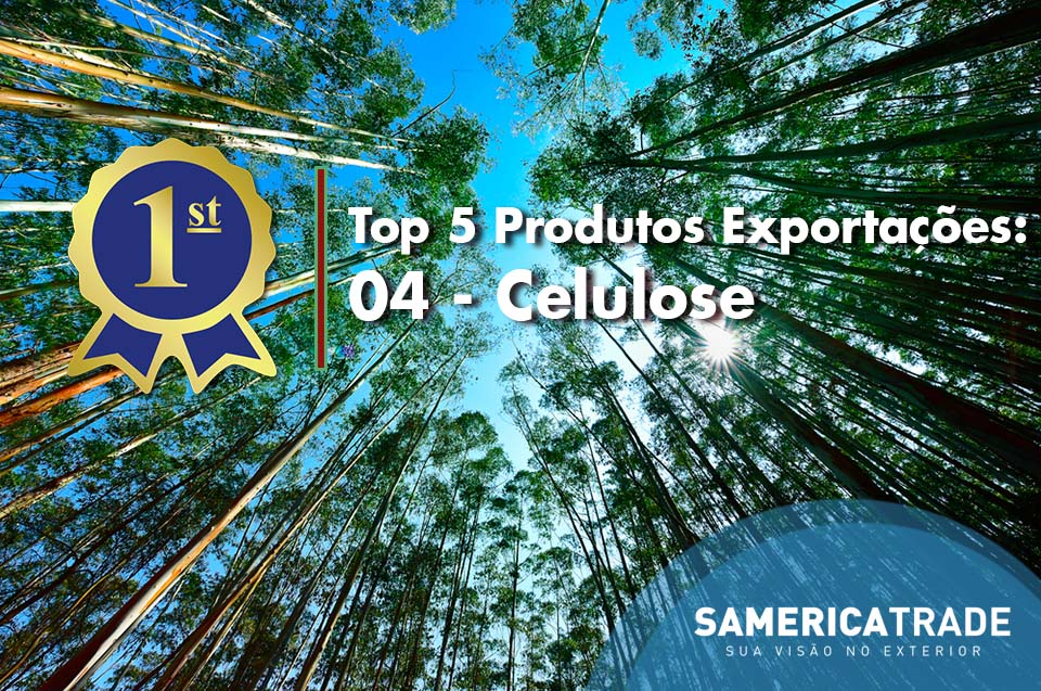 Top 5 Produtos Exportação – 04 Celulose