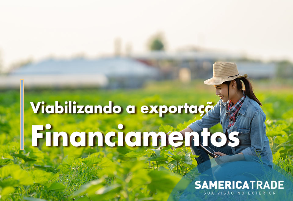 Formas de viabilizar a exportação para pequenos produtores